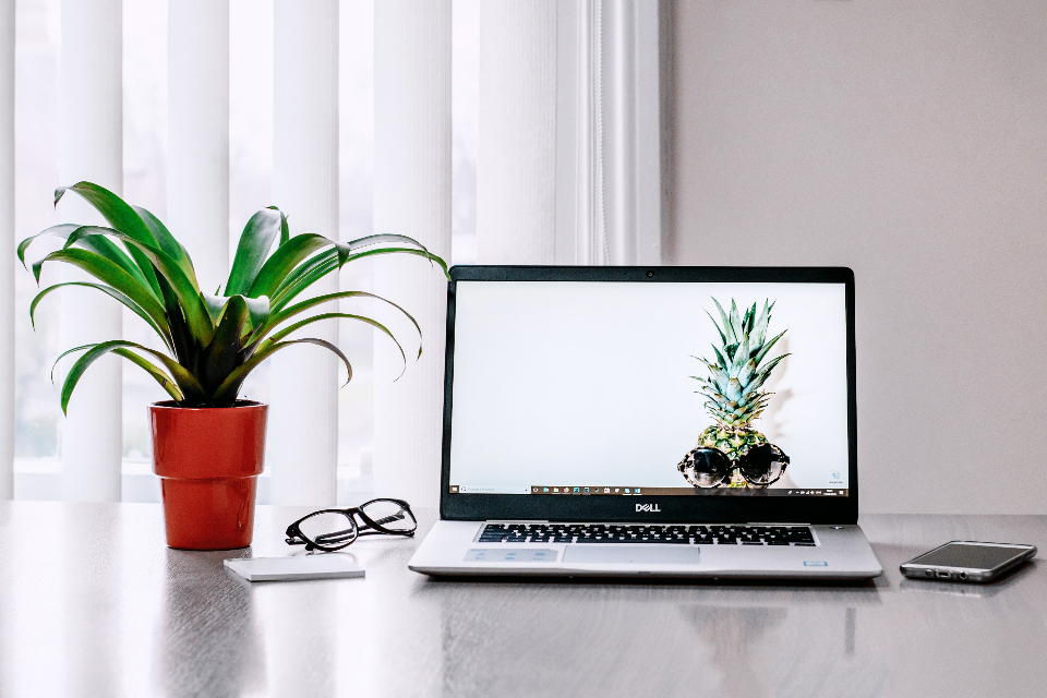 Organización de Resume y CV en formato americano